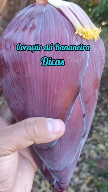 @natureza e saúde