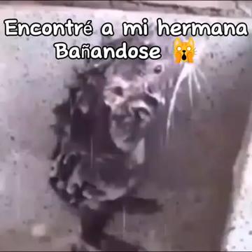 @SANTIAGO