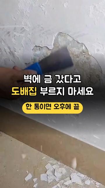 @리키백커