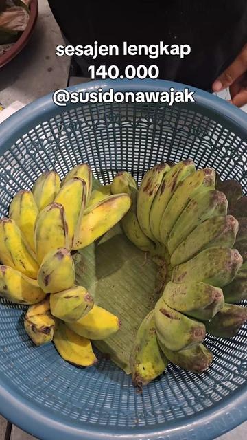 @susidona wajak