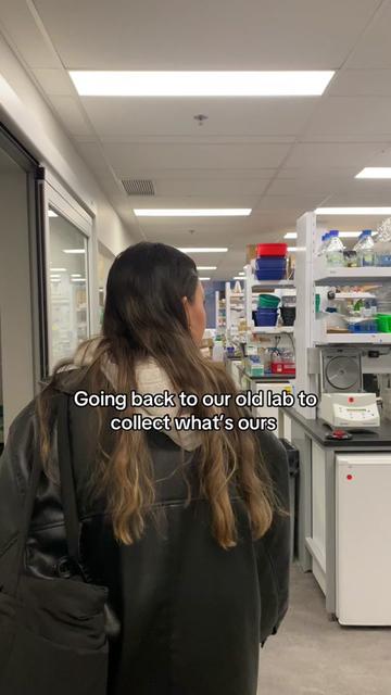 @cluelesslabgirlies