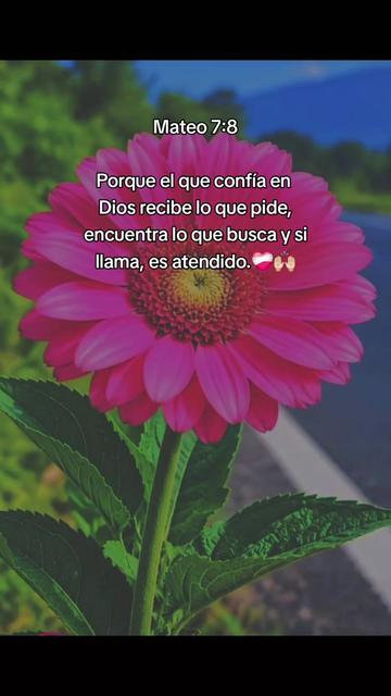 @🎀🫧𝕍𝕖𝕣&oacute;𝕟𝕚𝕔𝕒🫧🎀