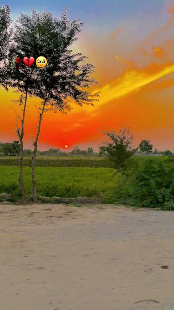 @🌾میں۔ میرا۔ پنڈ🎋