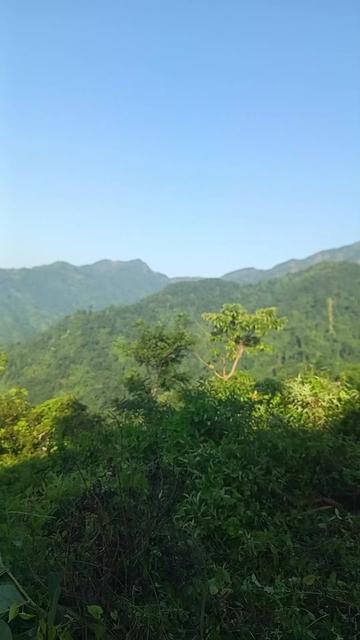 @फिरन्ते 🔎💐🤗