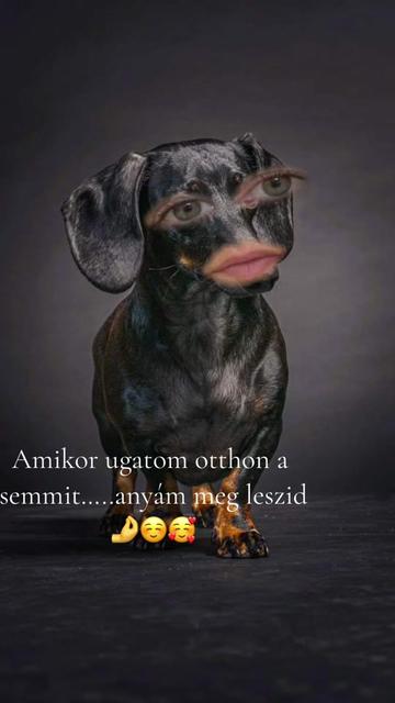 @Ágota