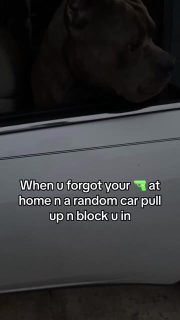 @poohbie2trill&shortdog