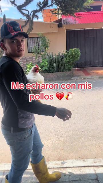 @elmagnatedelospollos