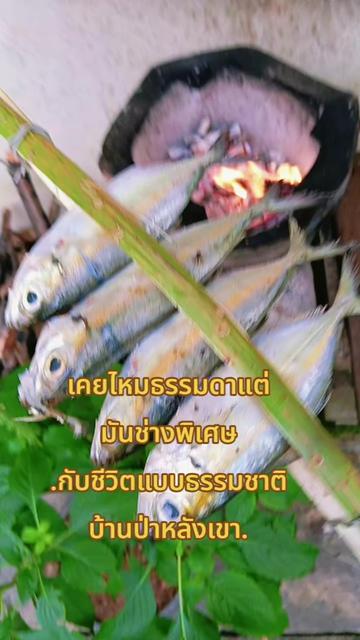 @หม้อดิน