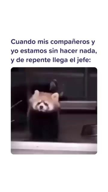 @💢lakita__yt😊