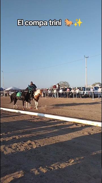 @Guillermo⚡☘️
