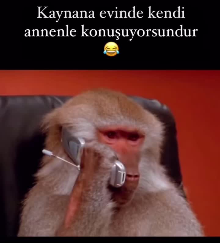 @birsiyahhikayesi