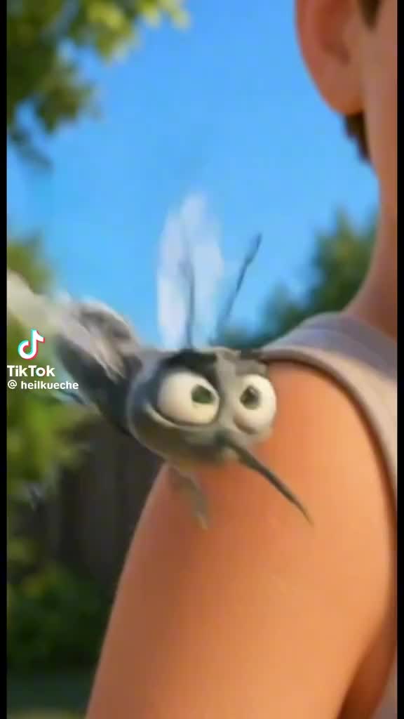@alpro66
