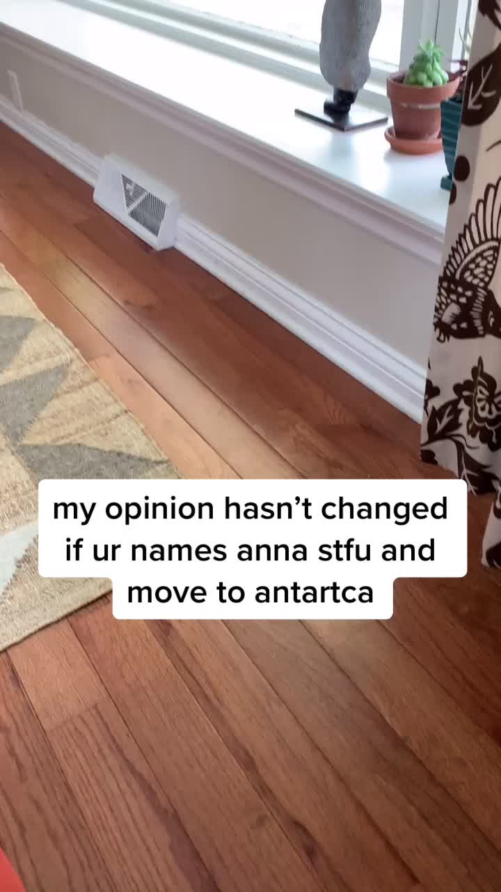 @annaslanderaccount