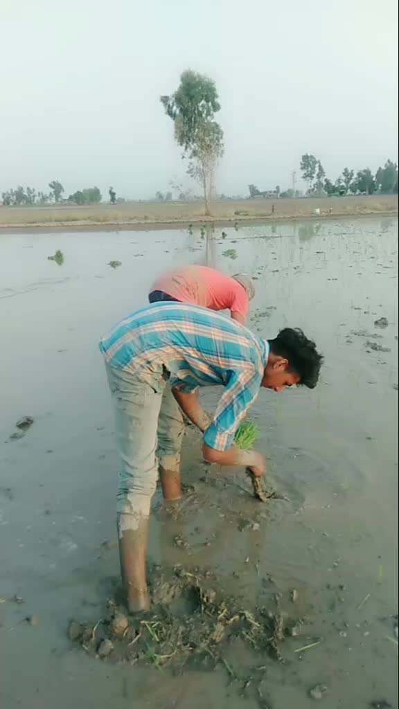 @Jagbir Mahiya