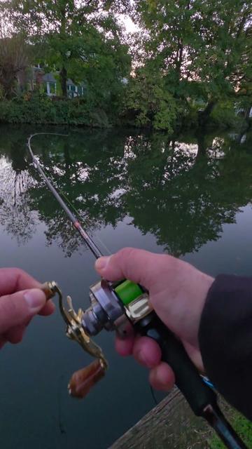 @BF Angler