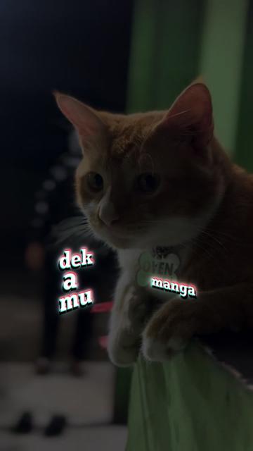 @Minangmusic_
