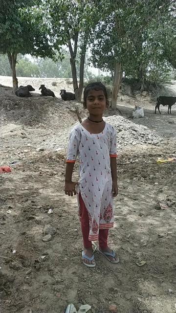 @user9340316266390
