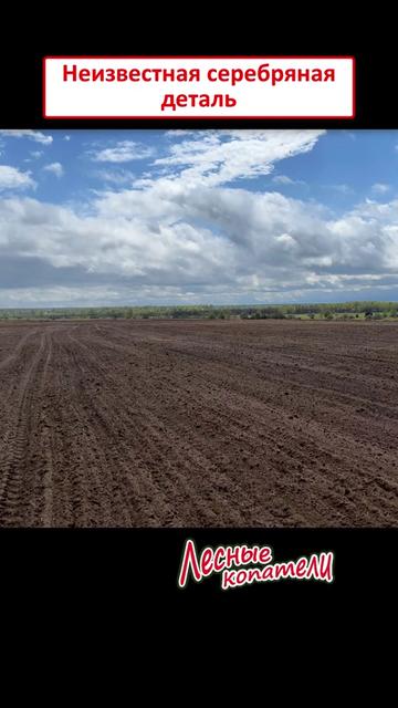 @Лесные Копатели