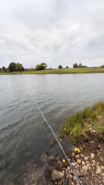 @Alba Trout 🏴