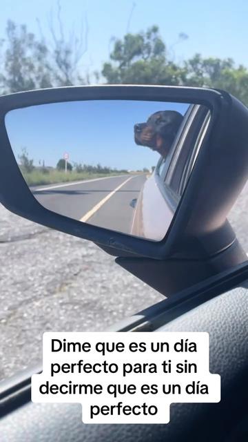 @Anubis y compañía