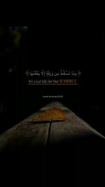 @Samir Khan