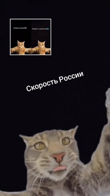 @Умар