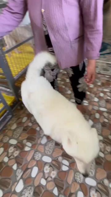 @yeuthuongchomeoba5