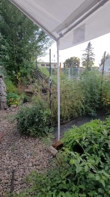 @Crappy Gardener
