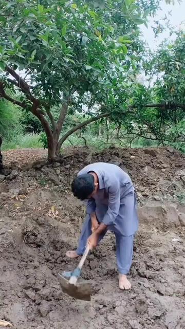@TikTok23