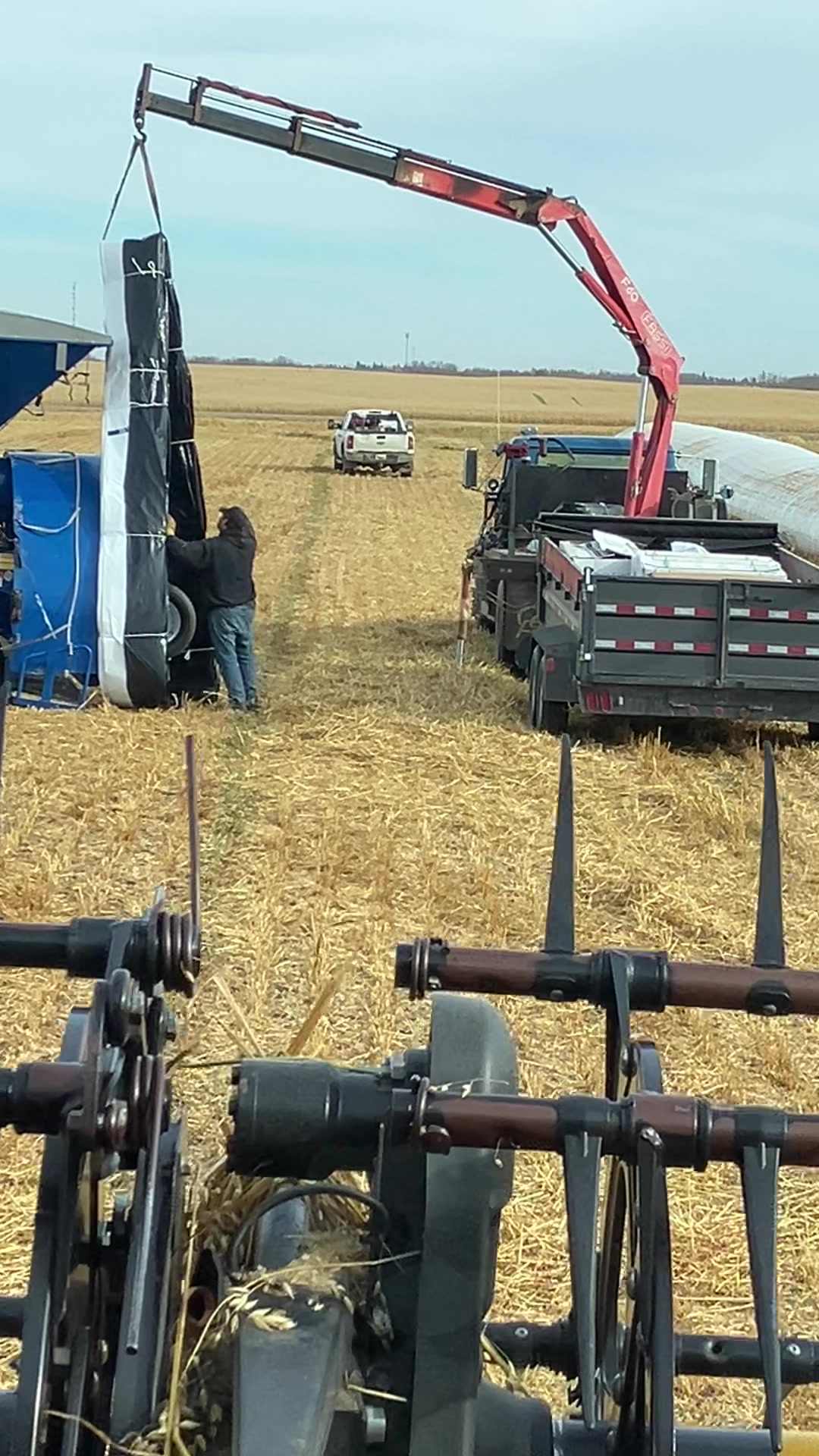 @bf48farmer