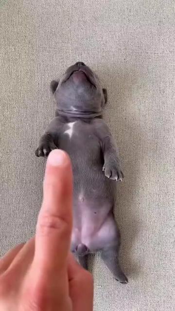 @uxifnfsiyyn