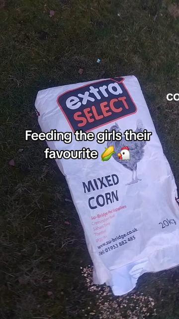 @Pawfectlypicked