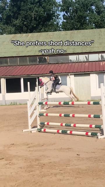 @SchimmelponyParadise