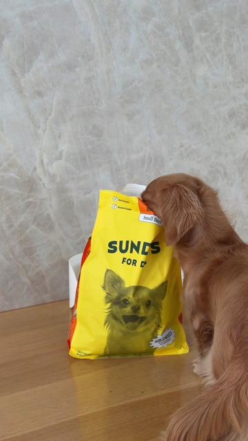 @cashewdachshund