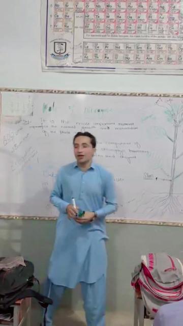 @WAQAR AHMAD ❤️love botany 🌴