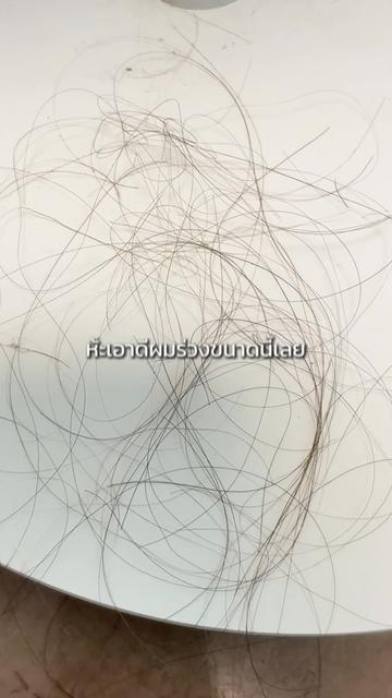 @มุกกิทั่วทีปทั่วแดน