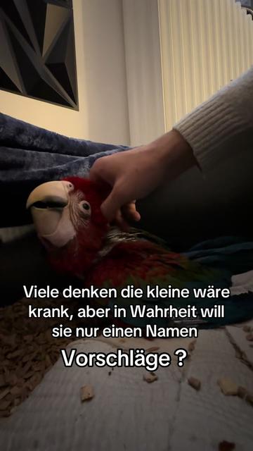 @Shankshaki