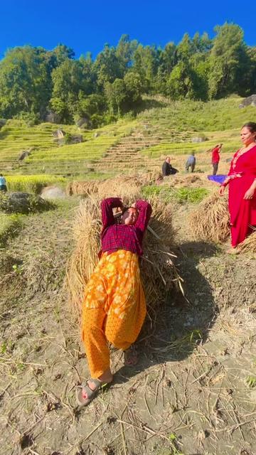 @Thakuri niku ❣️❣️