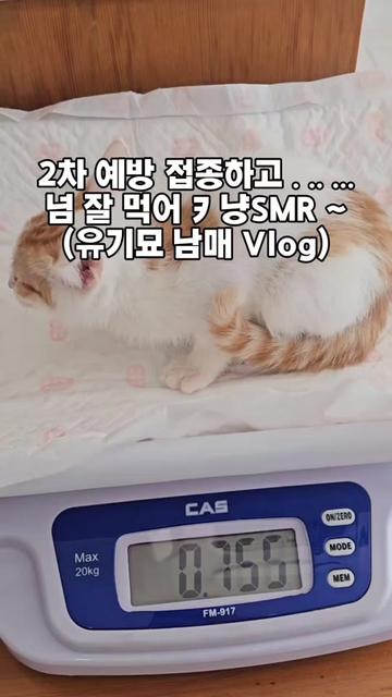 @🍩이상사&times;234🍩