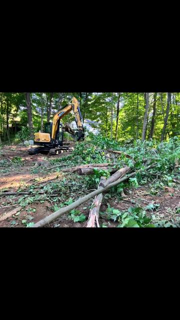 @Chads Tree Service