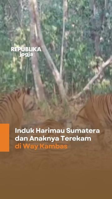 @Republika Jogja