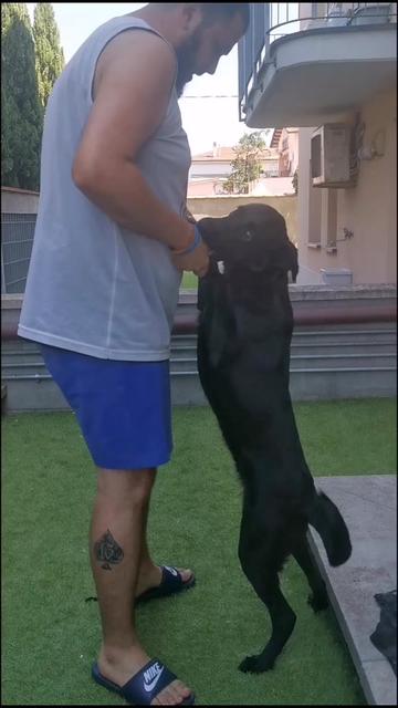 @leo.mazz.98