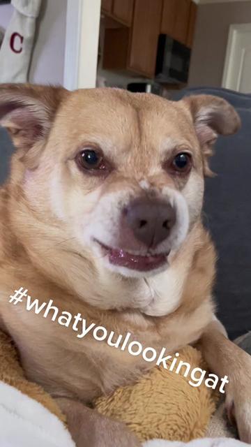 @Caitlyn