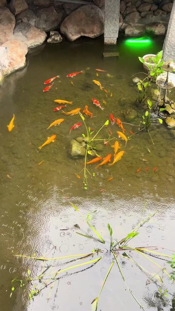 @Tài Nội Thất