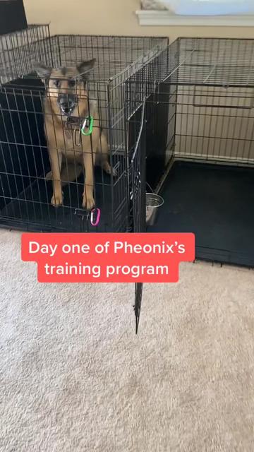 @OUTBOUNDDOGS