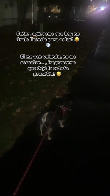 @🍂🍁🌻OTOÑO 🌻🍂🍁