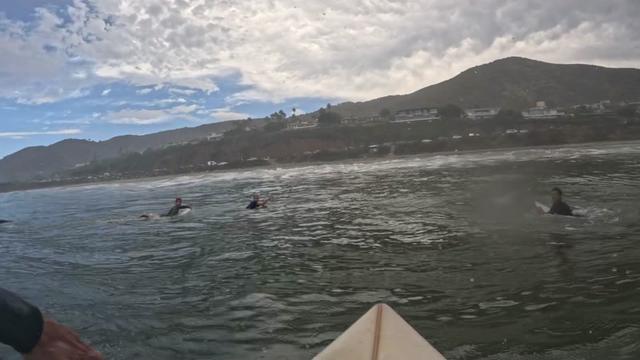 @oscarcc_surfs