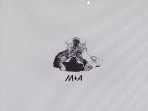 @kimashitaka?