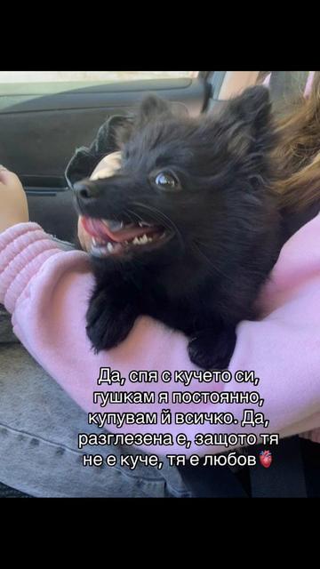 @desi_stoycheva19