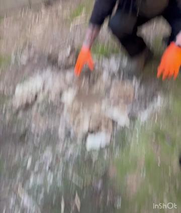 @ItsMrLogz